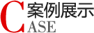 网站优化案例 网站优化案例